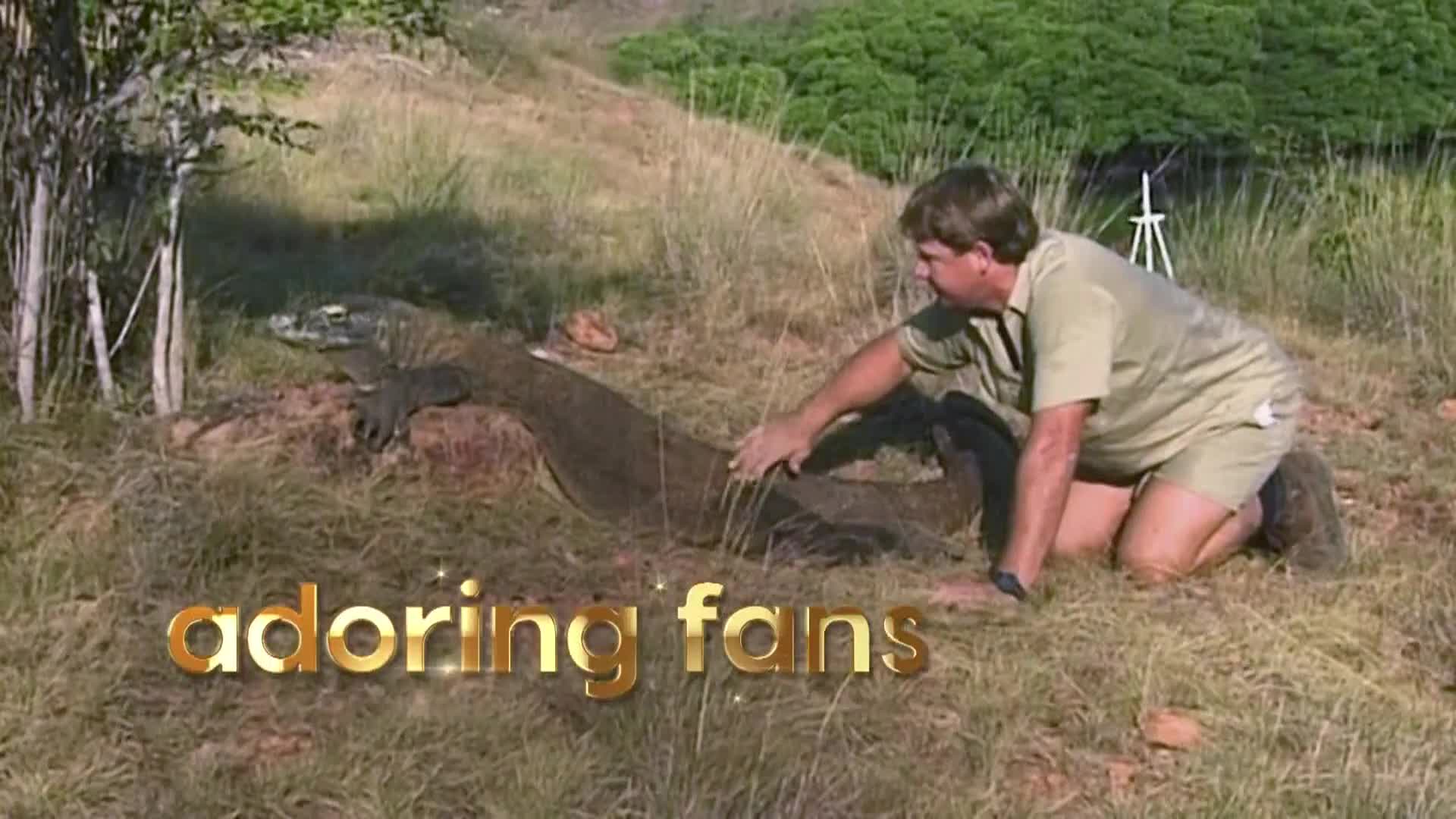 AnimalPlanet