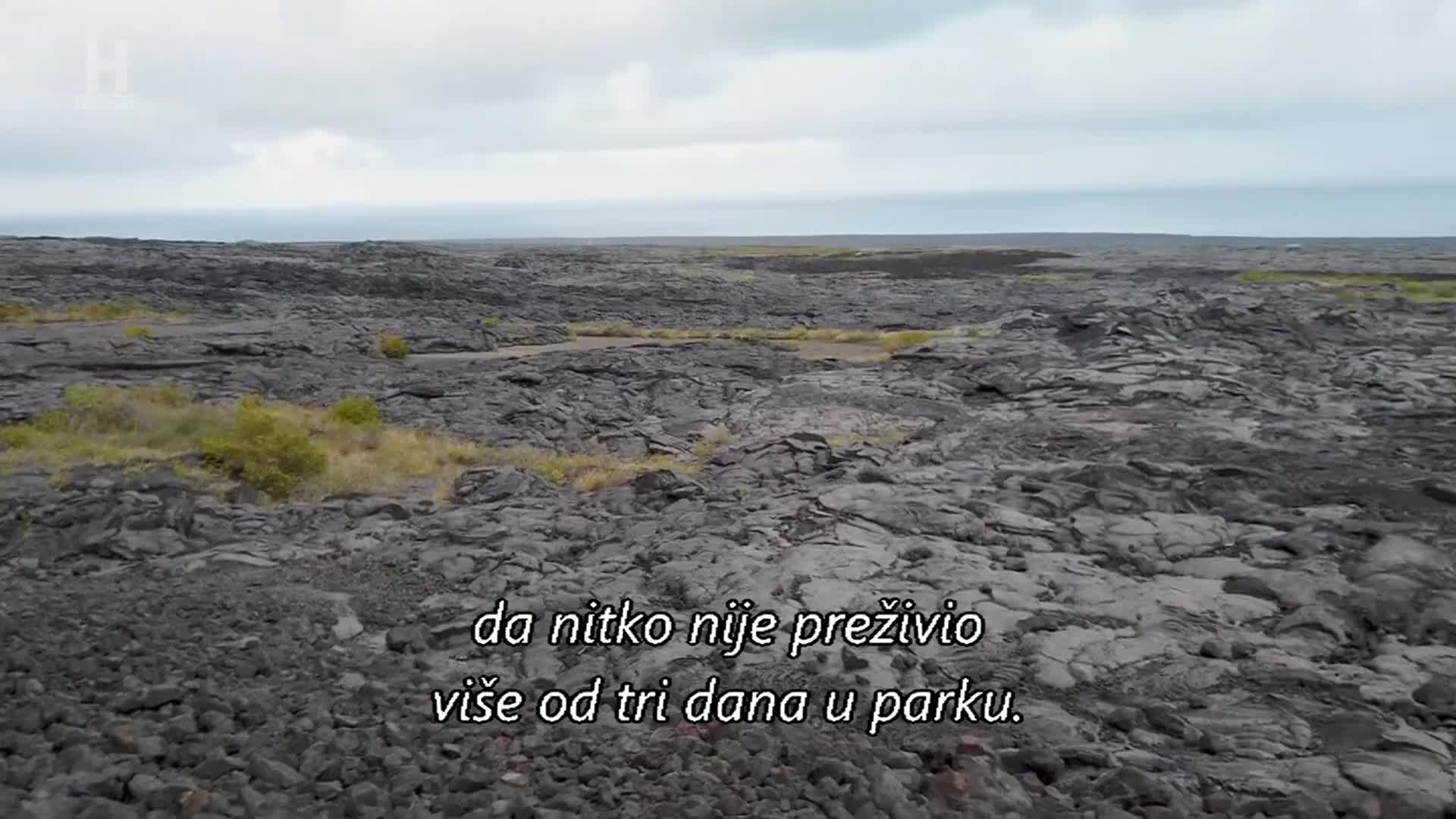 History