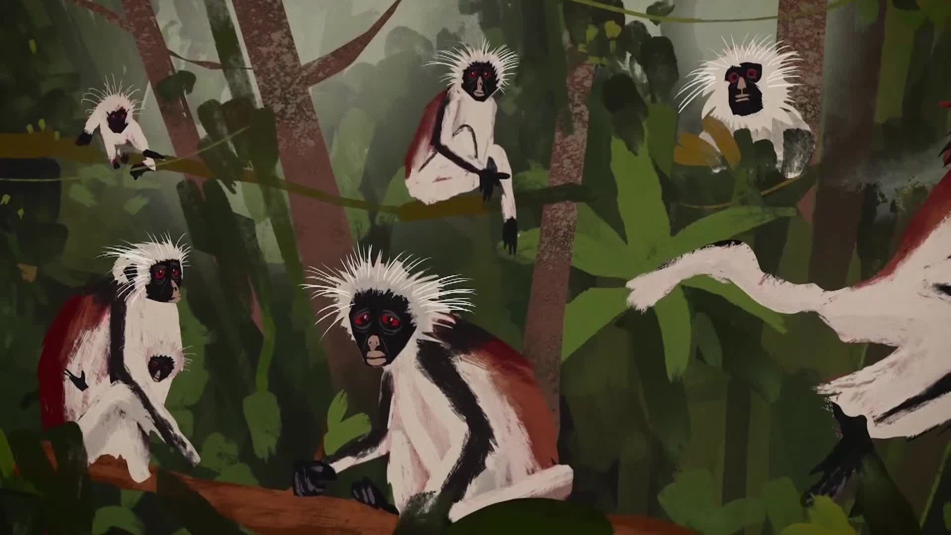 AnimalPlanet