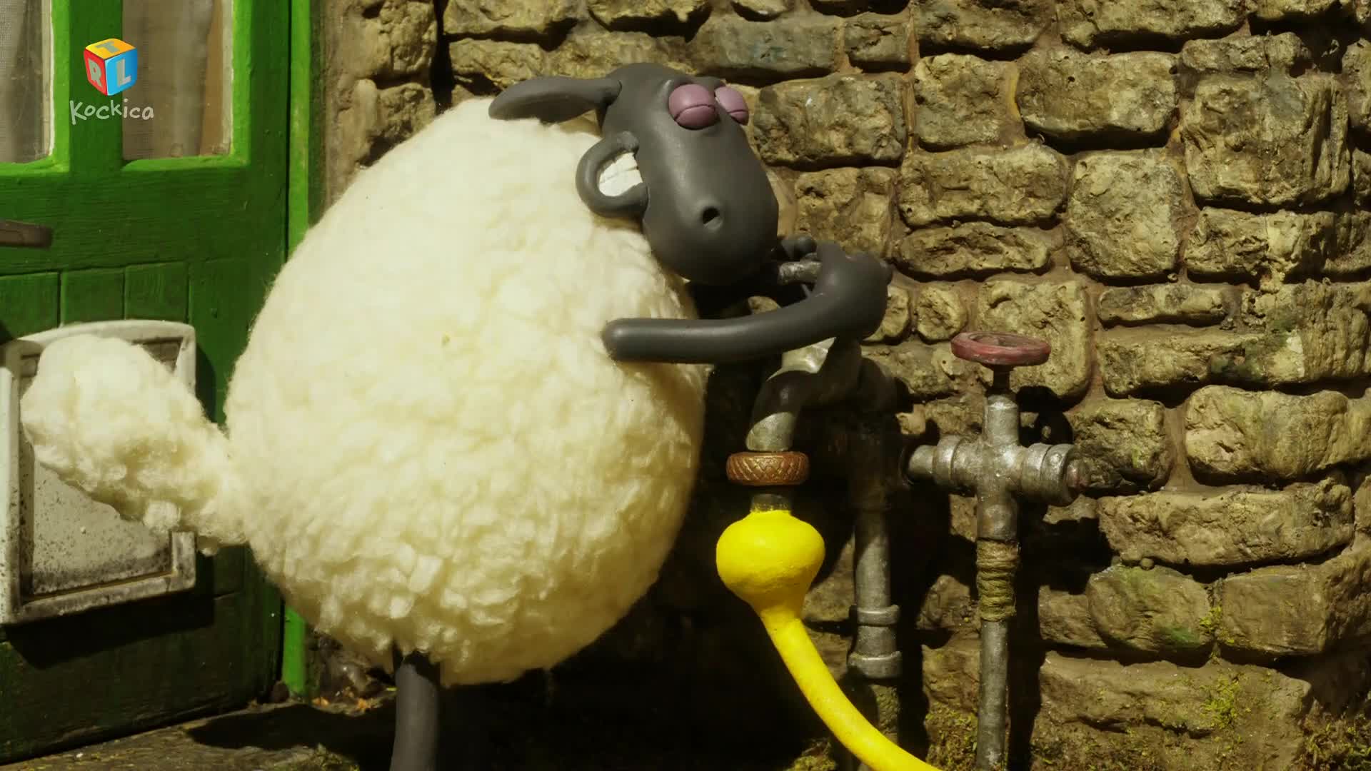 RTLKockica