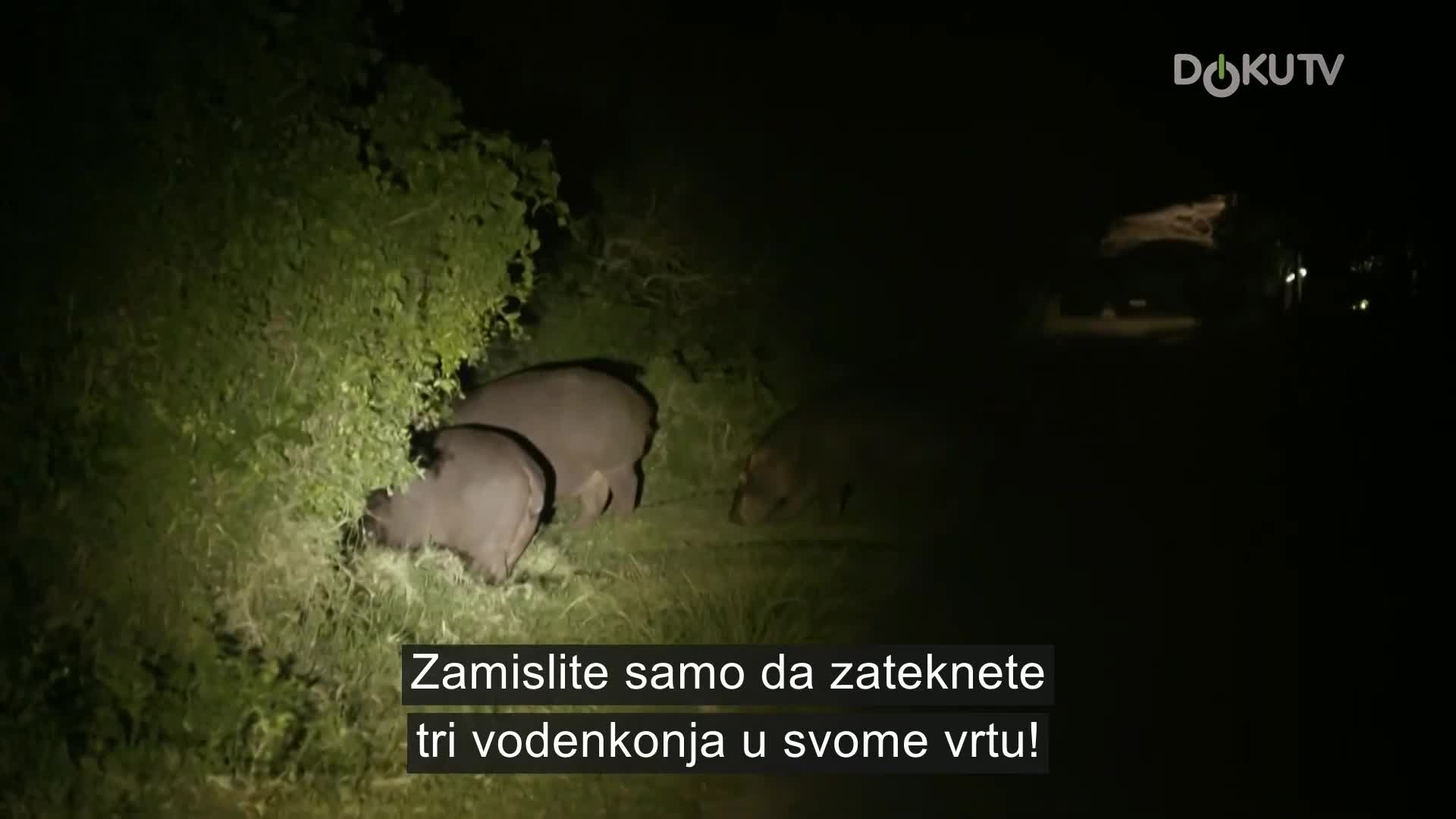 DokuTV