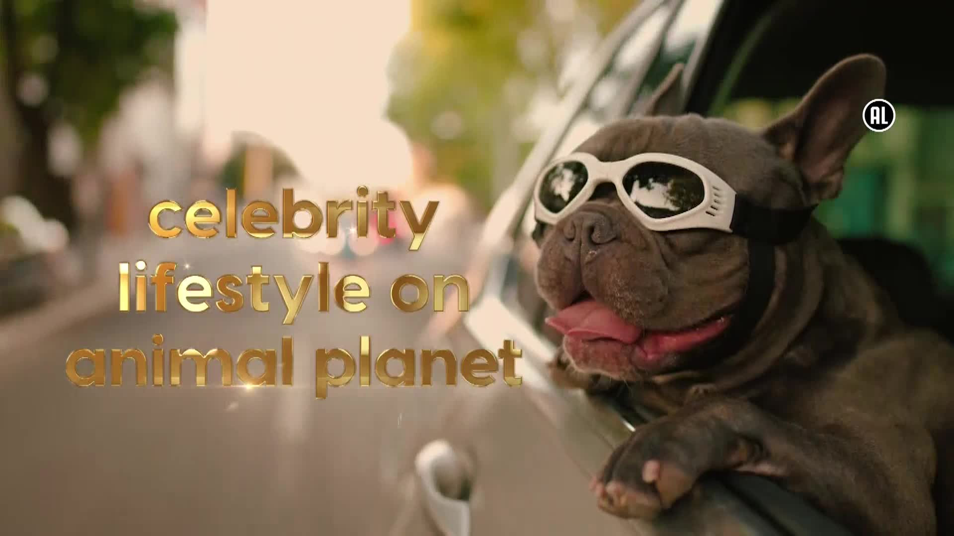AnimalPlanet