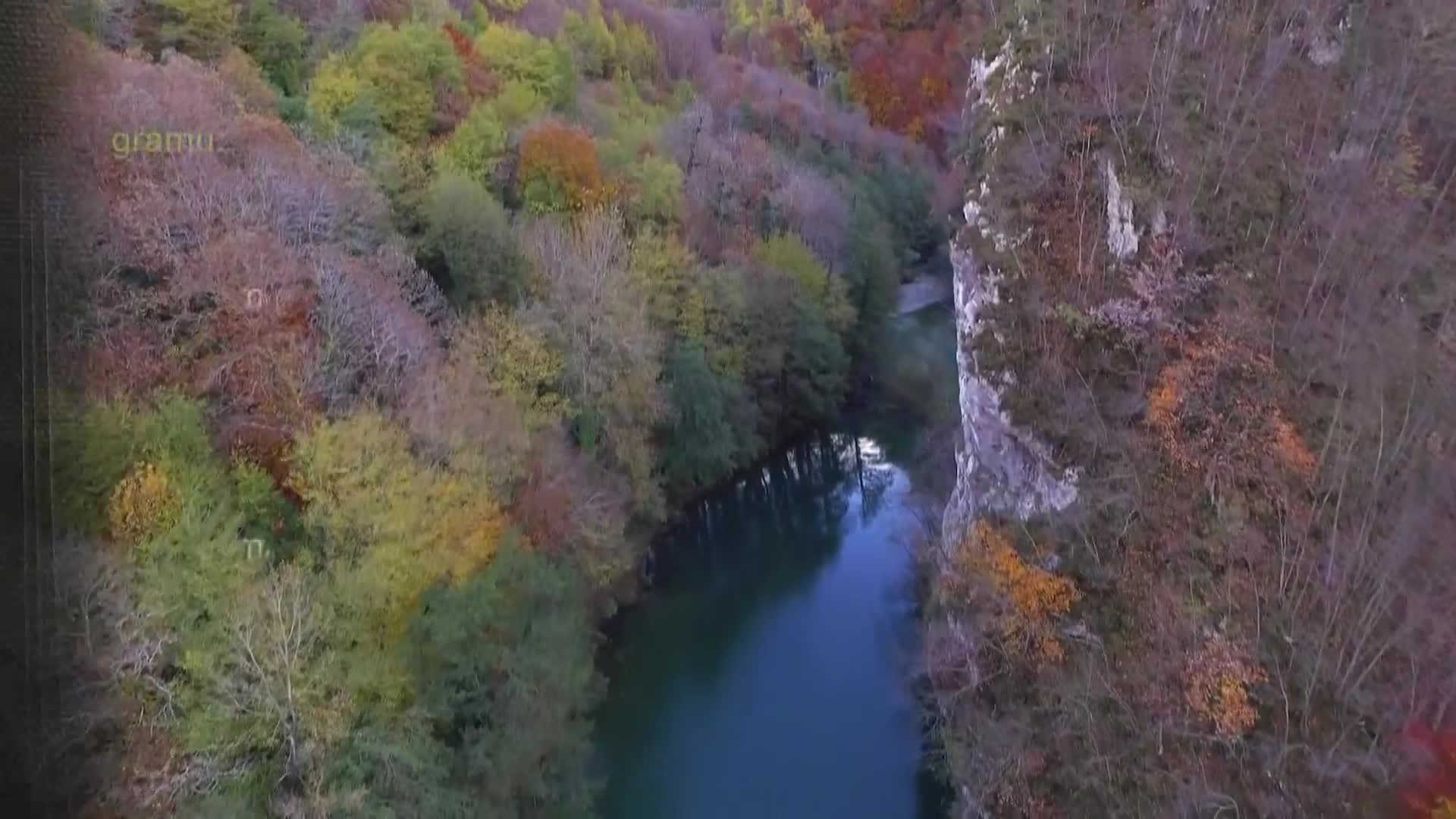 DokuTV