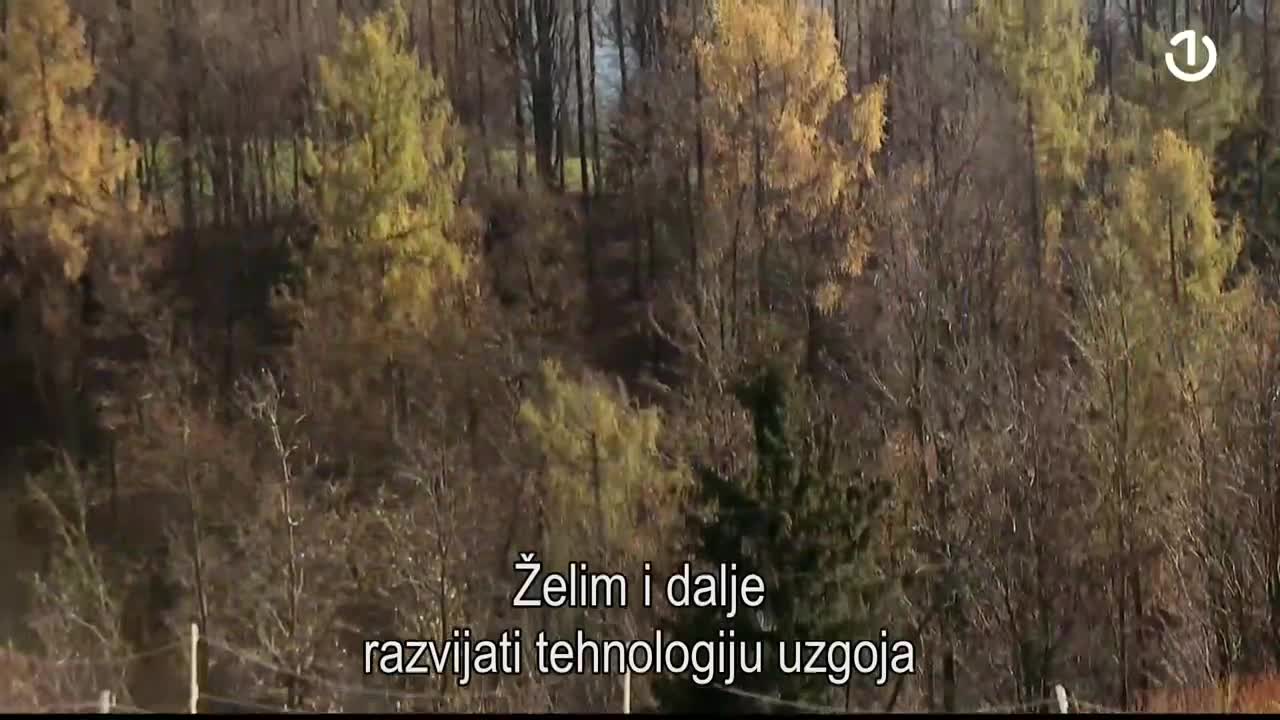 BHT