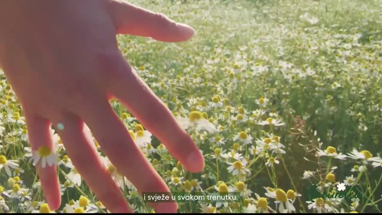 FTV