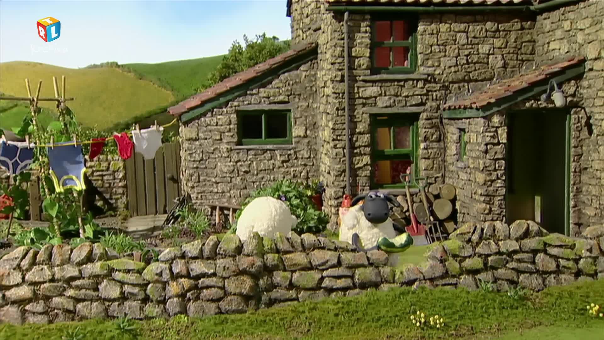 RTLKockica