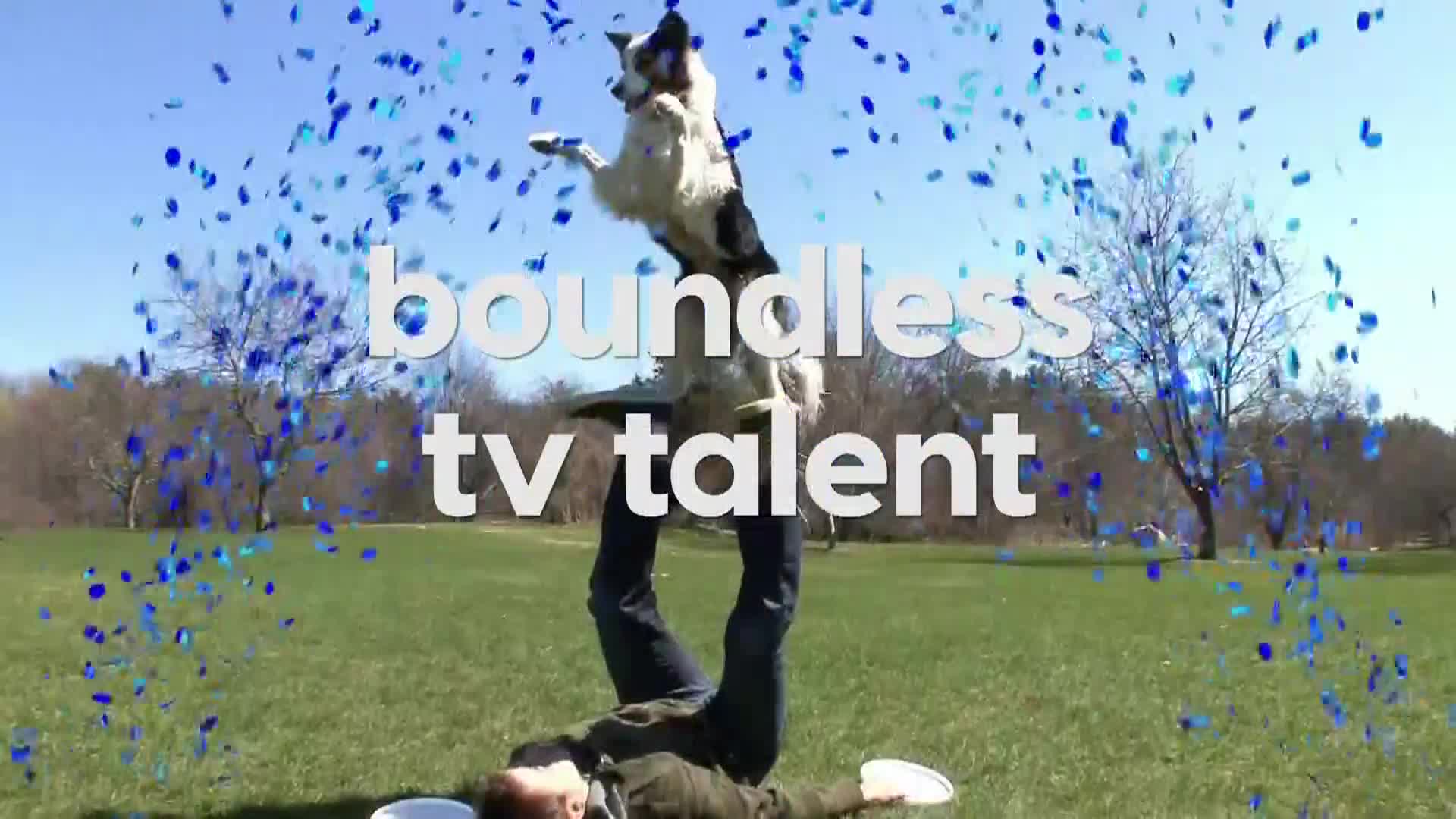 AnimalPlanet
