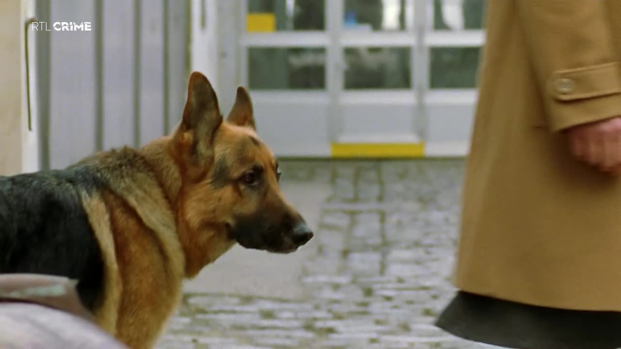RTLcrime