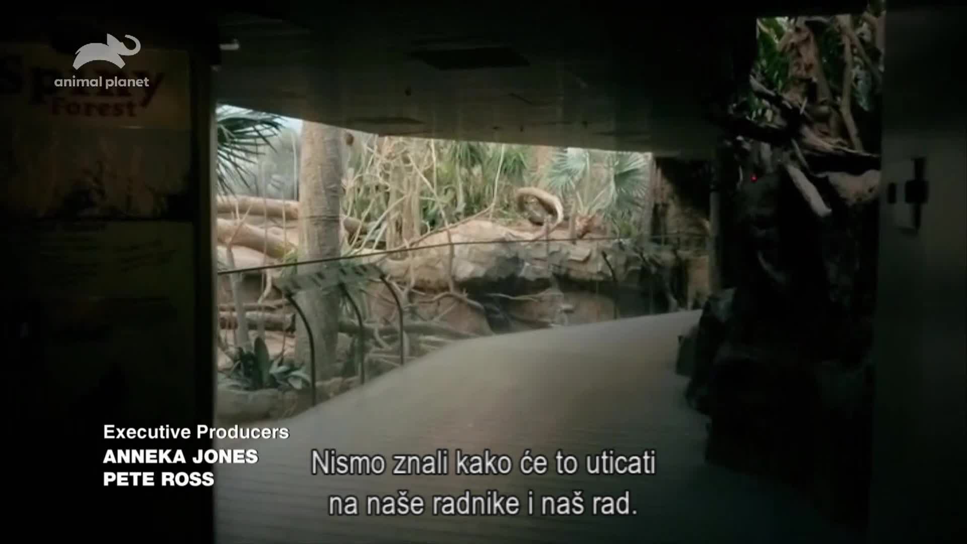 AnimalPlanet
