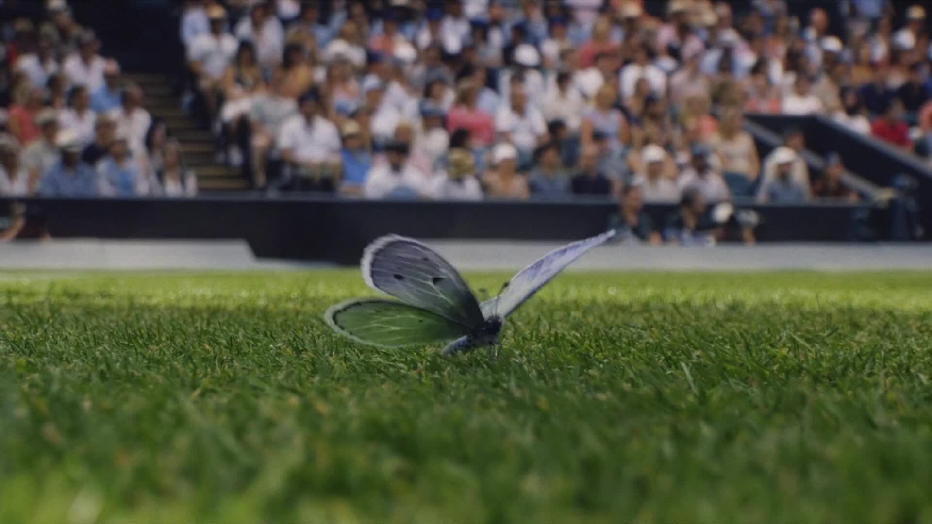 ArenaPremium3