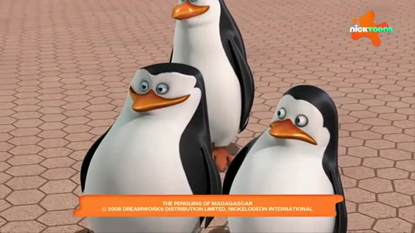 CCExtra