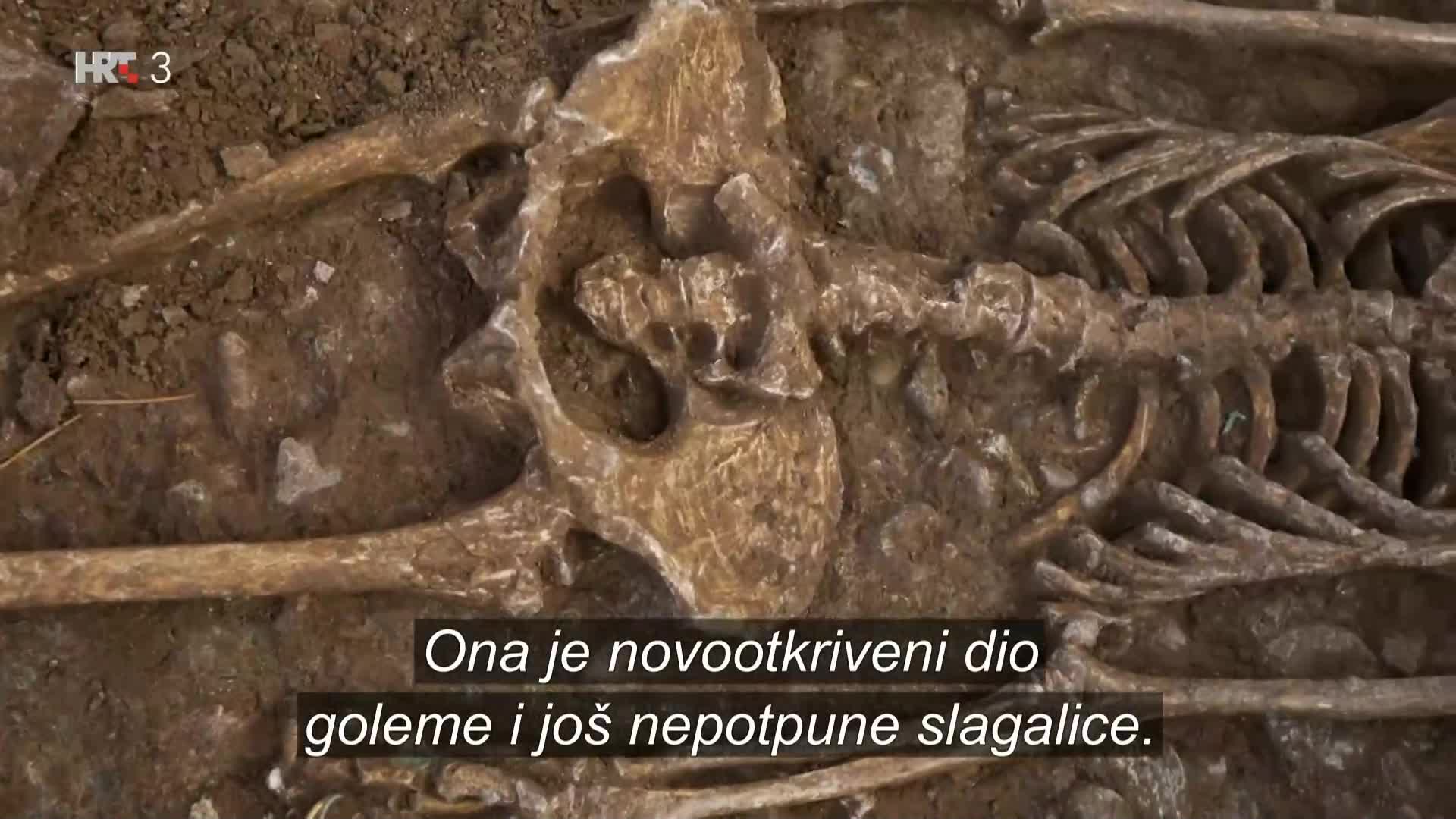 HRT3