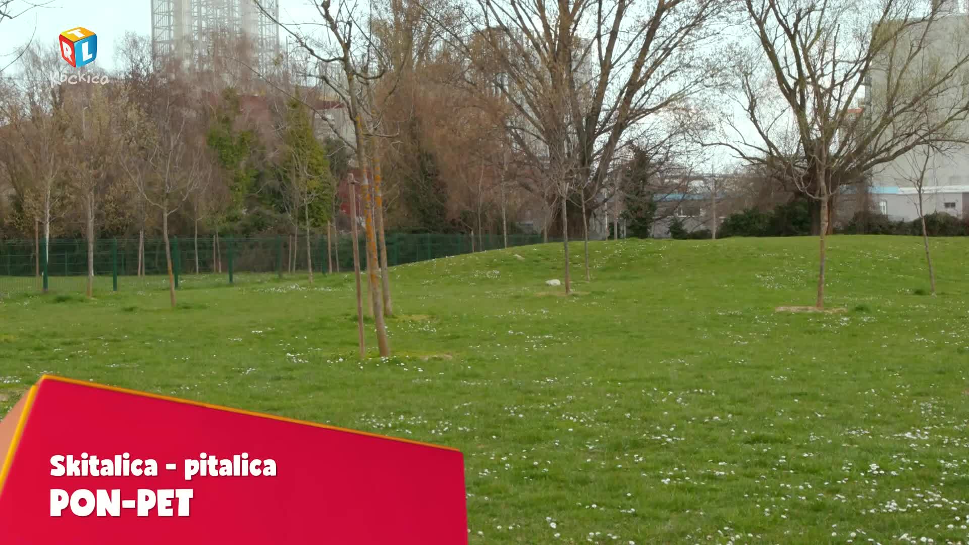 RTLKockica