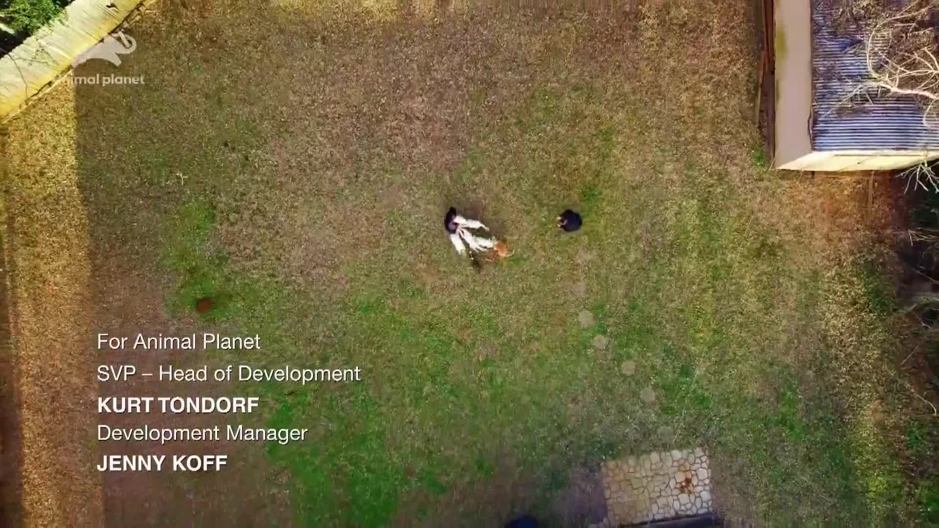 AnimalPlanet