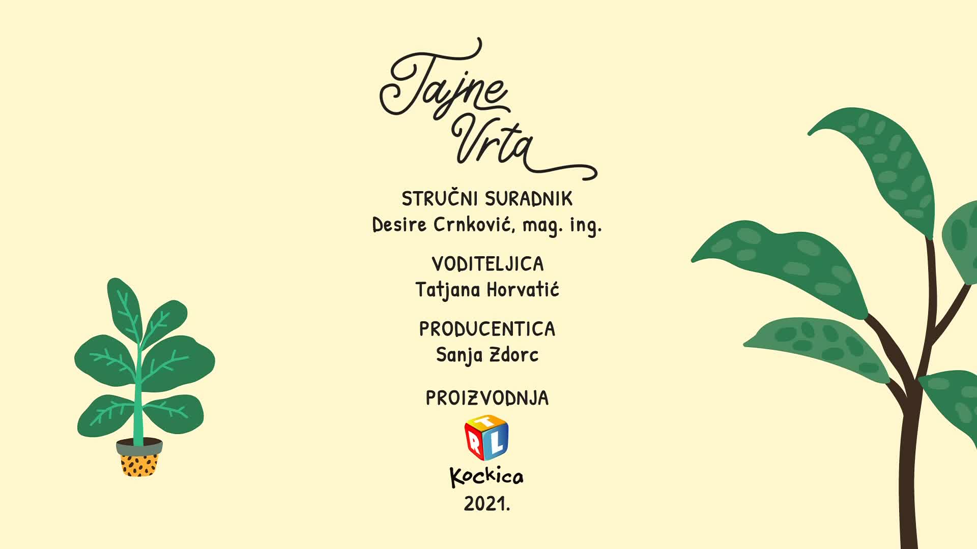 RTLKockica