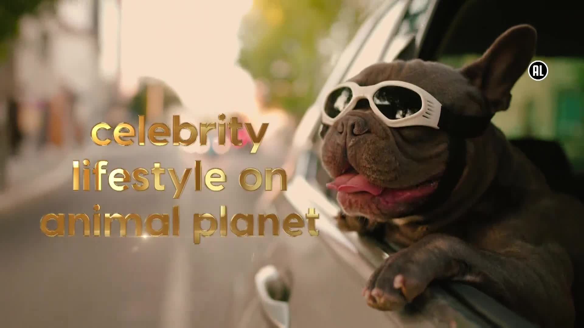 AnimalPlanet