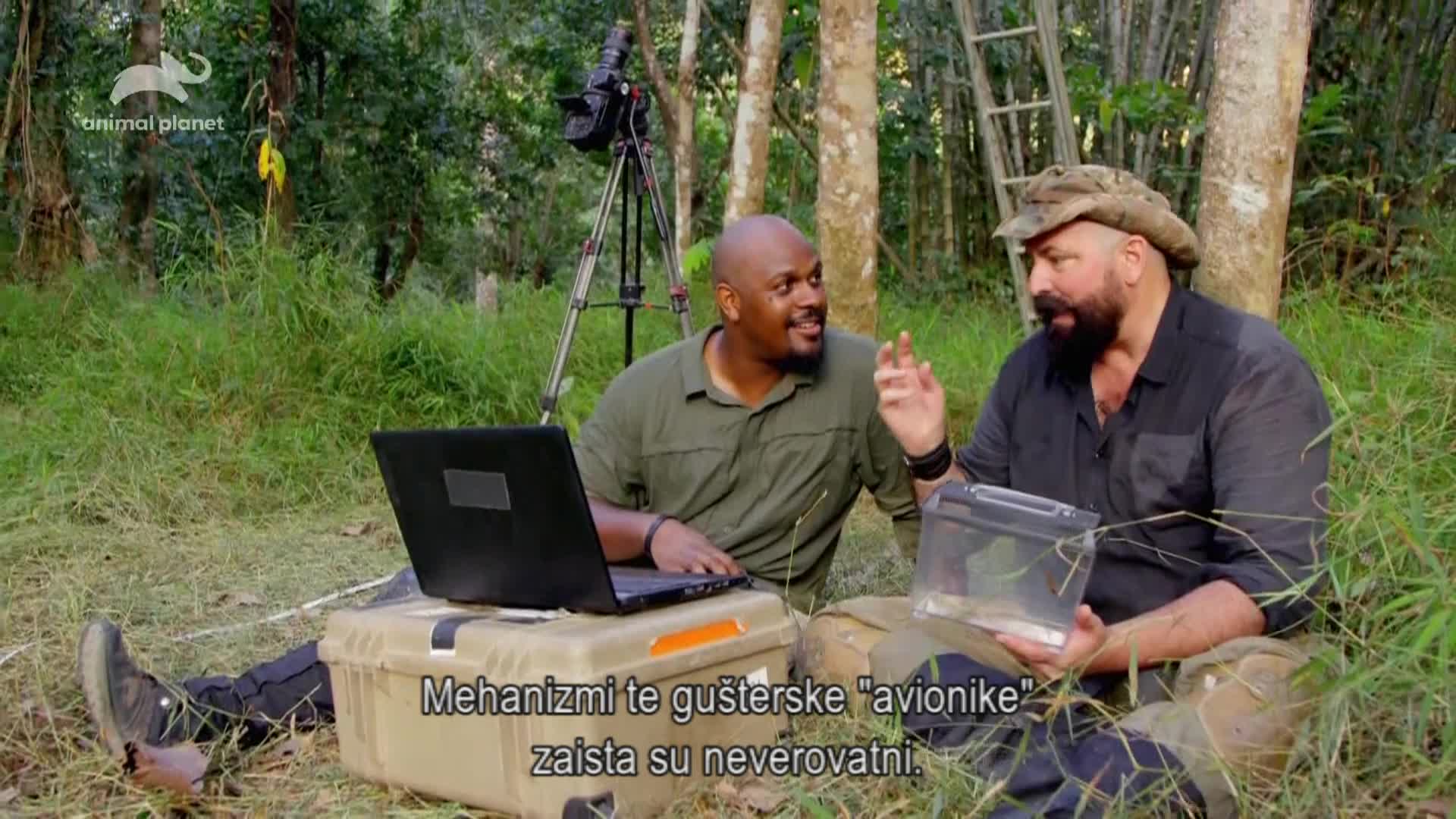 AnimalPlanet
