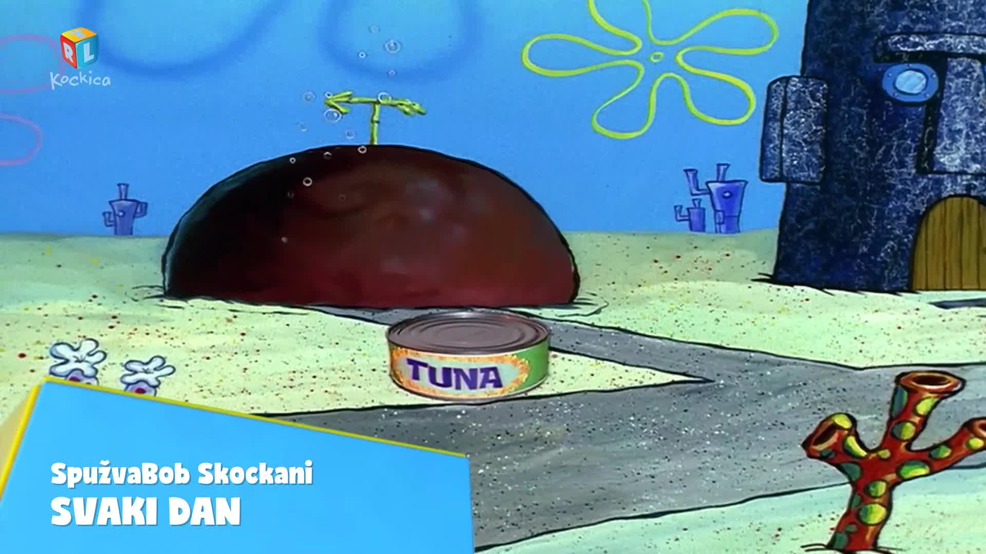 RTLKockica