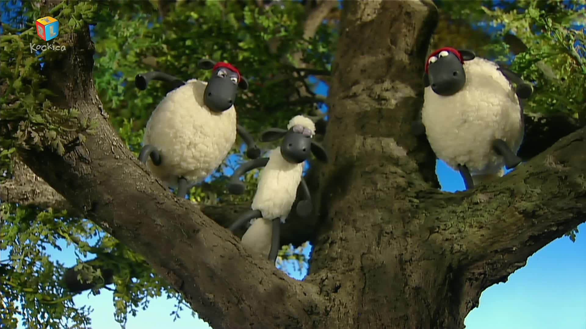 RTLKockica