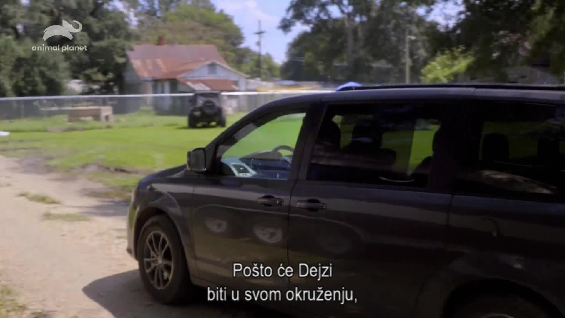 AnimalPlanet
