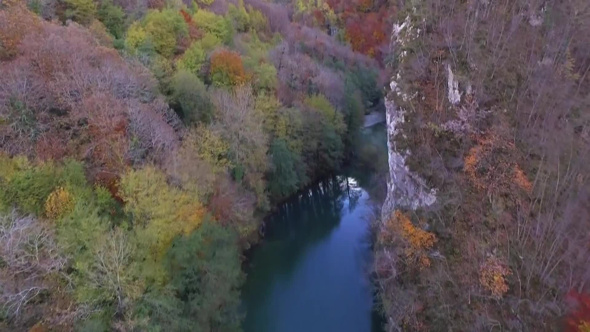 DokuTV