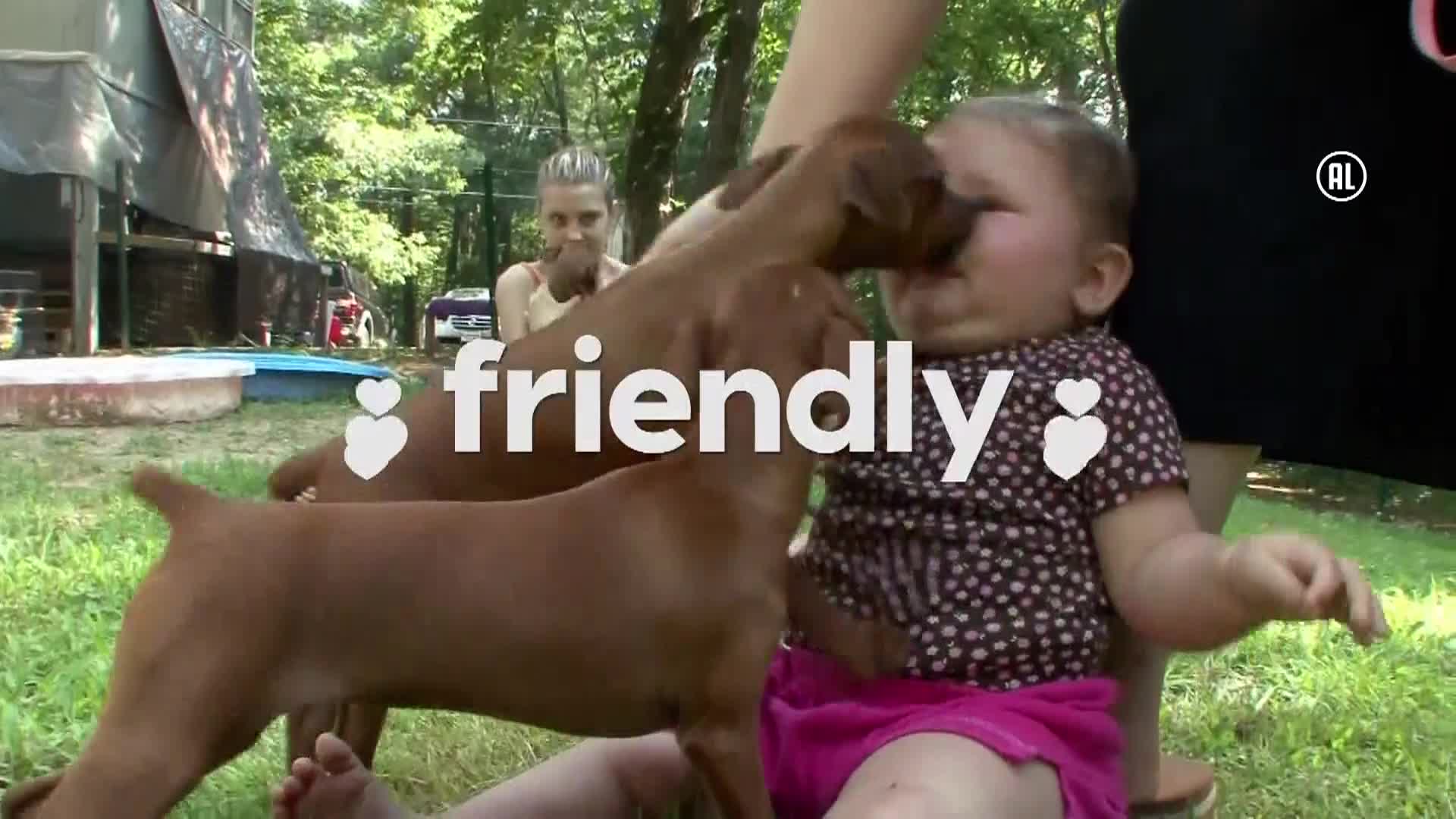 AnimalPlanet