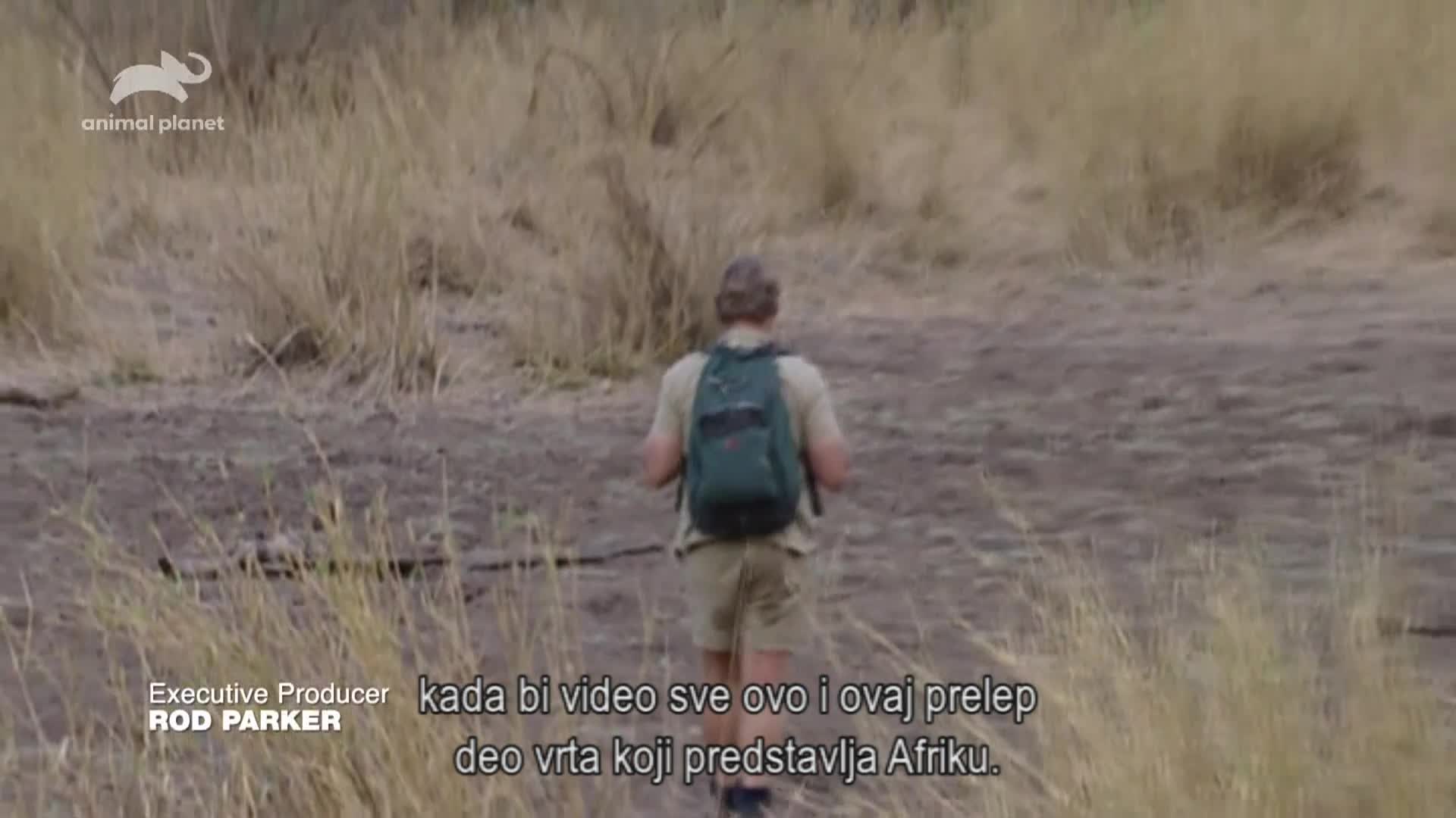 AnimalPlanet
