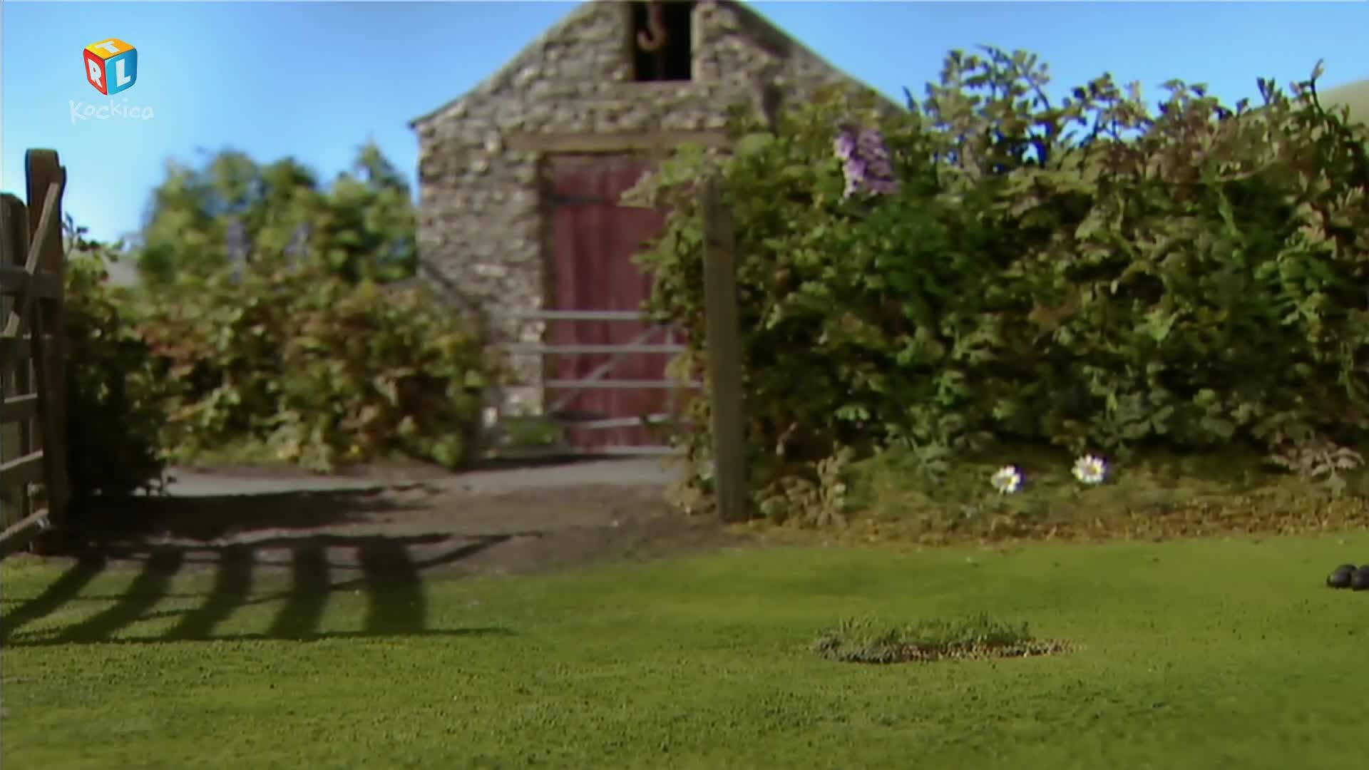 RTLKockica