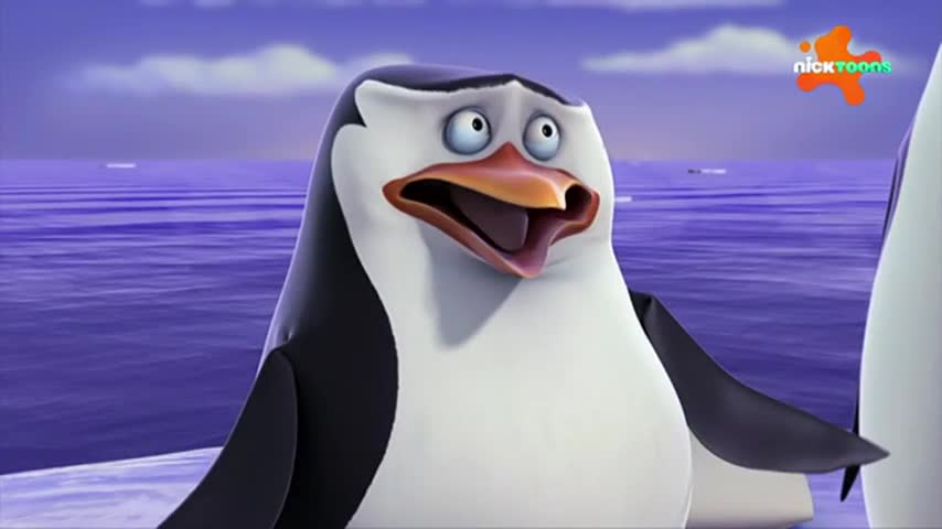 CCExtra
