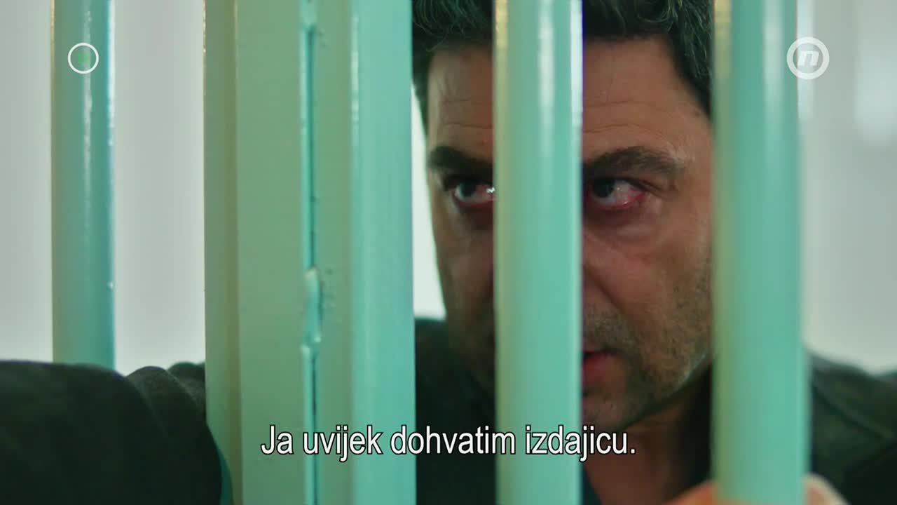 DomaTV