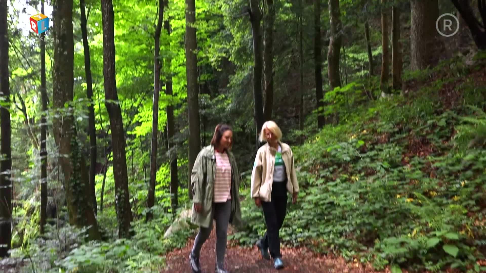 RTLKockica