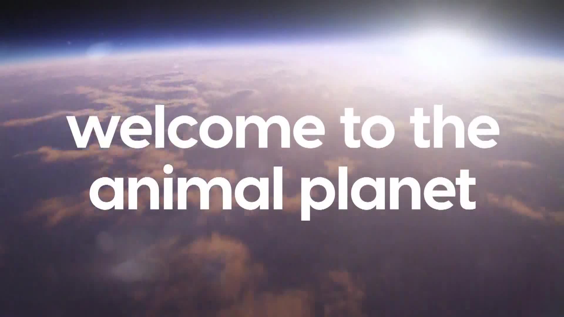 AnimalPlanet