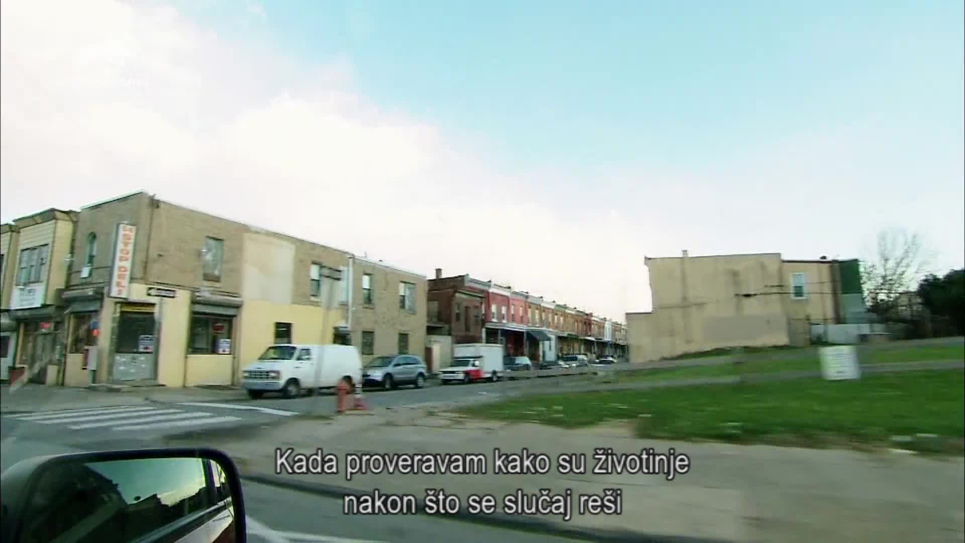 AnimalPlanet