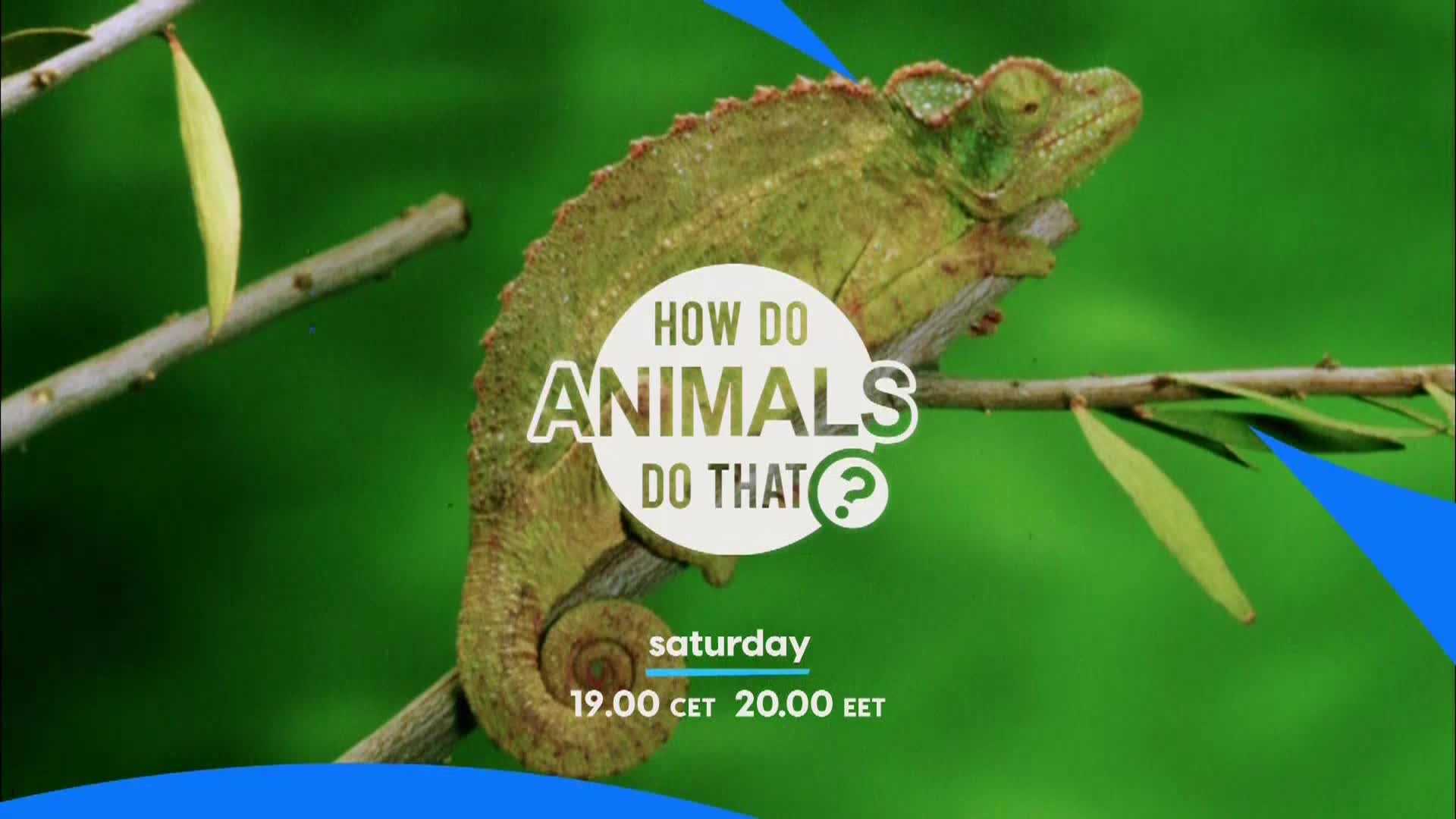 AnimalPlanet