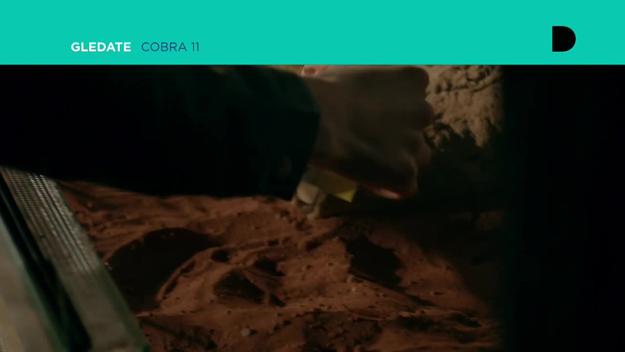 DomaTV