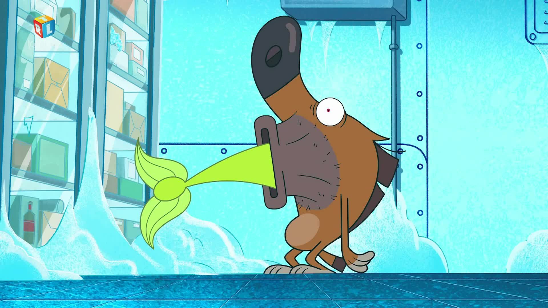RTLKockica