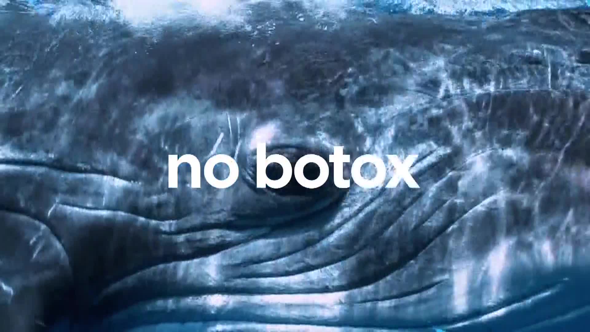 AnimalPlanet