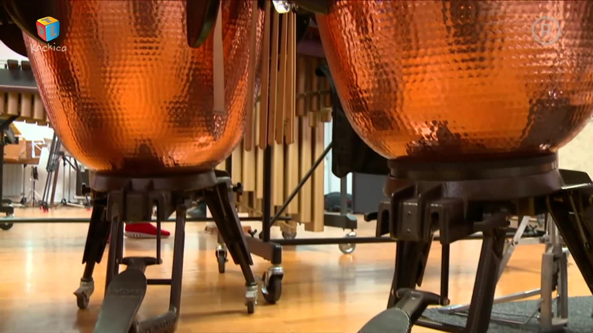 RTLKockica