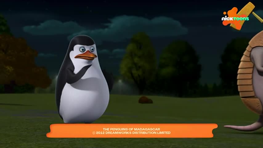 CCExtra