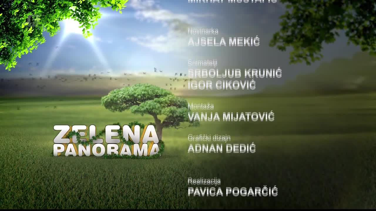 FTV