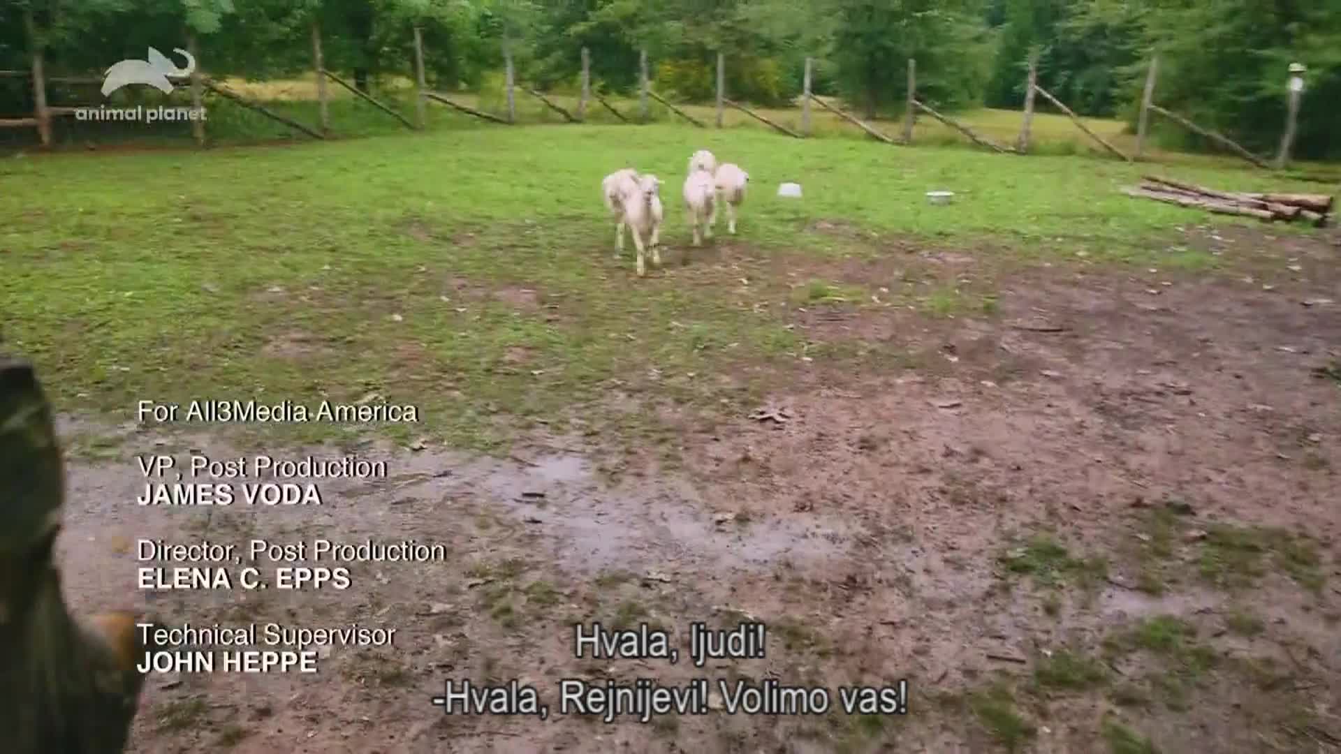 AnimalPlanet
