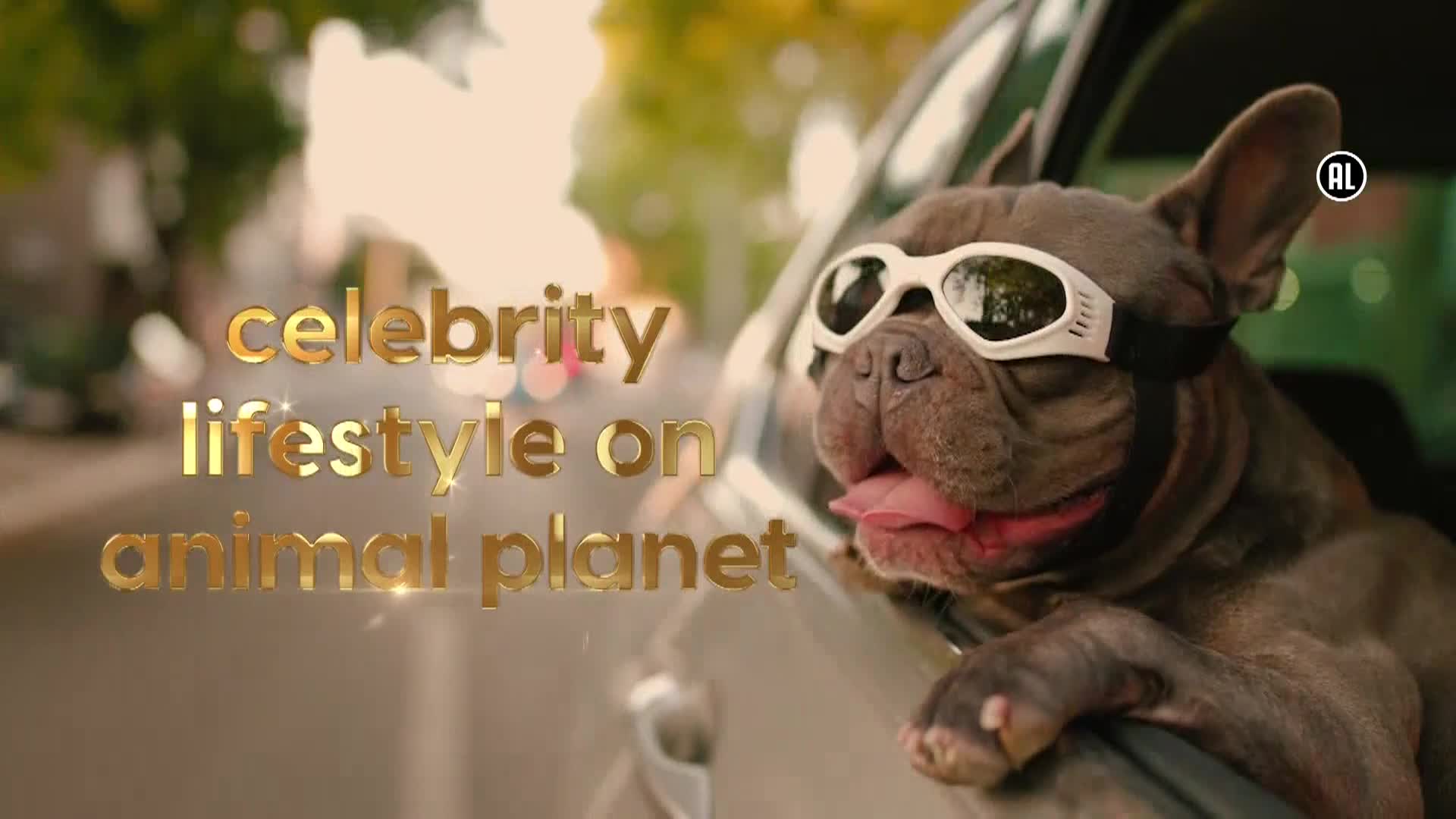AnimalPlanet