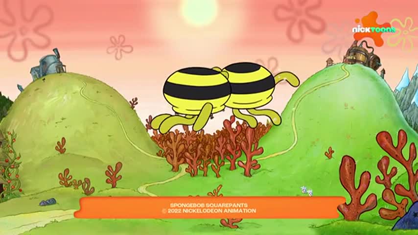 CCExtra