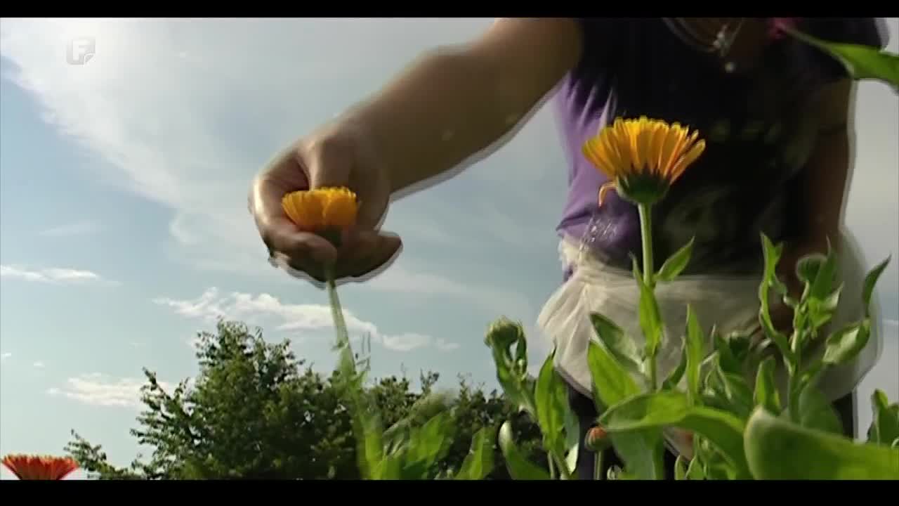 FTV