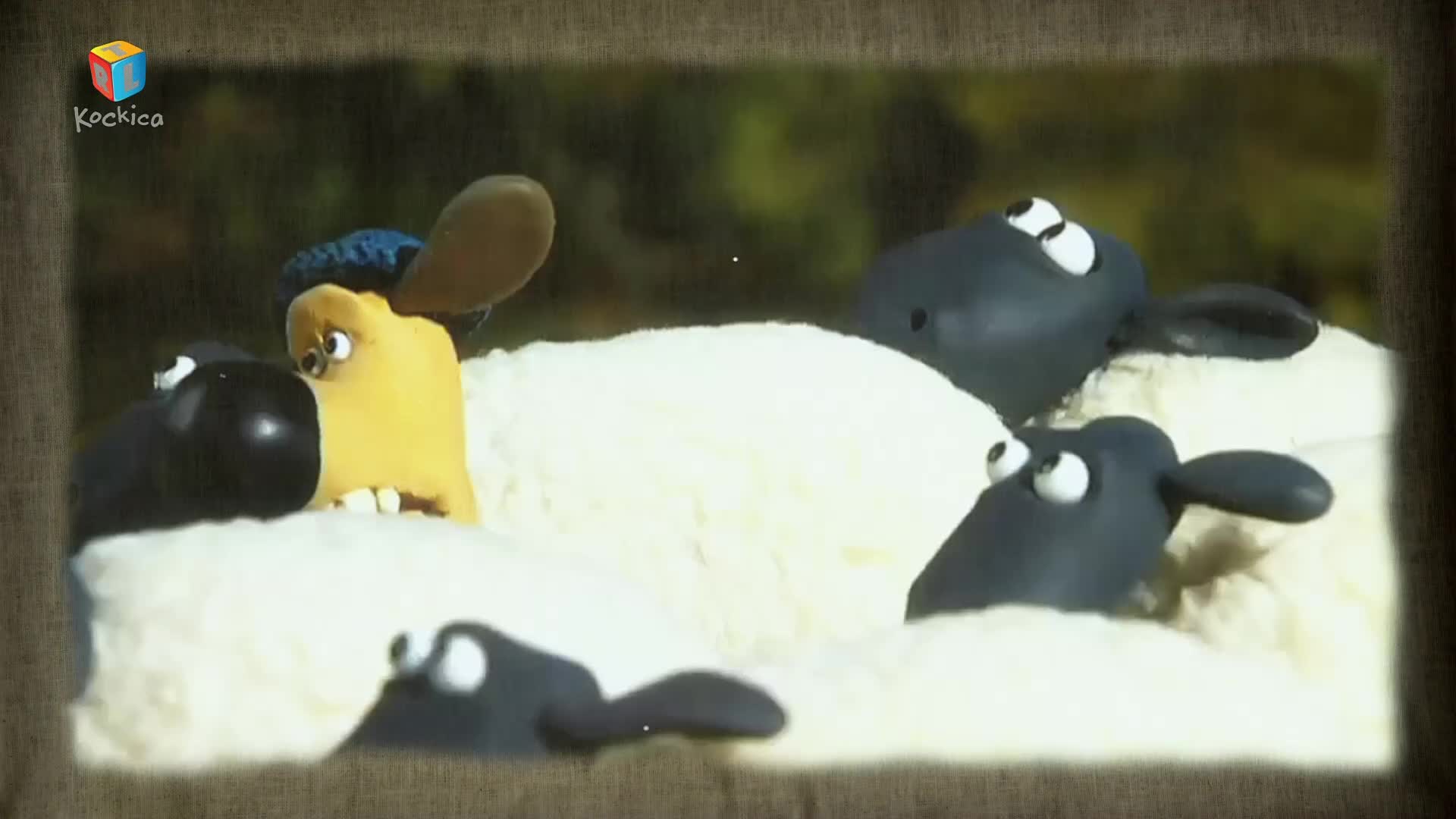 RTLKockica