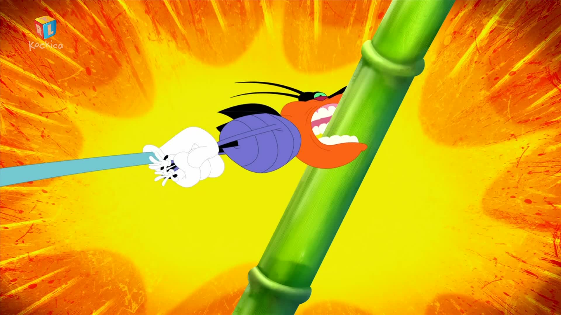 RTLKockica