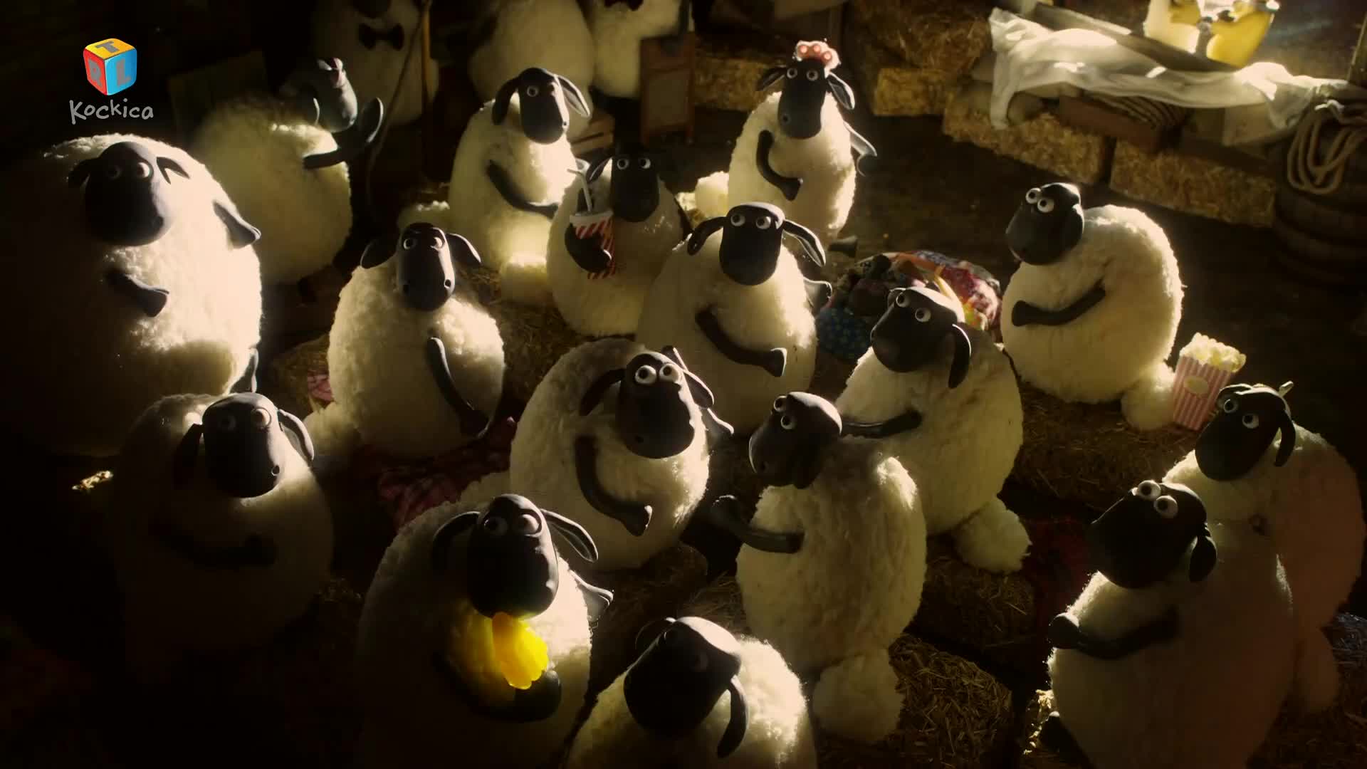 RTLKockica