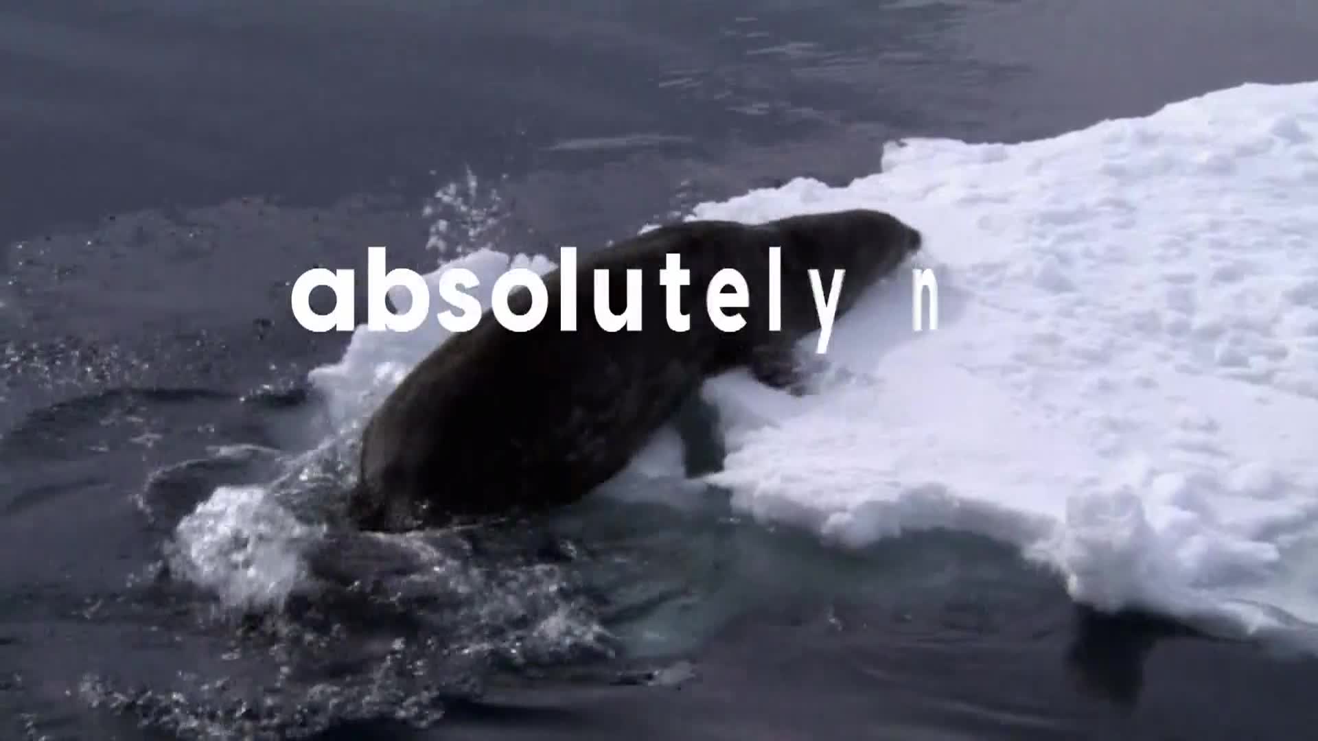 AnimalPlanet