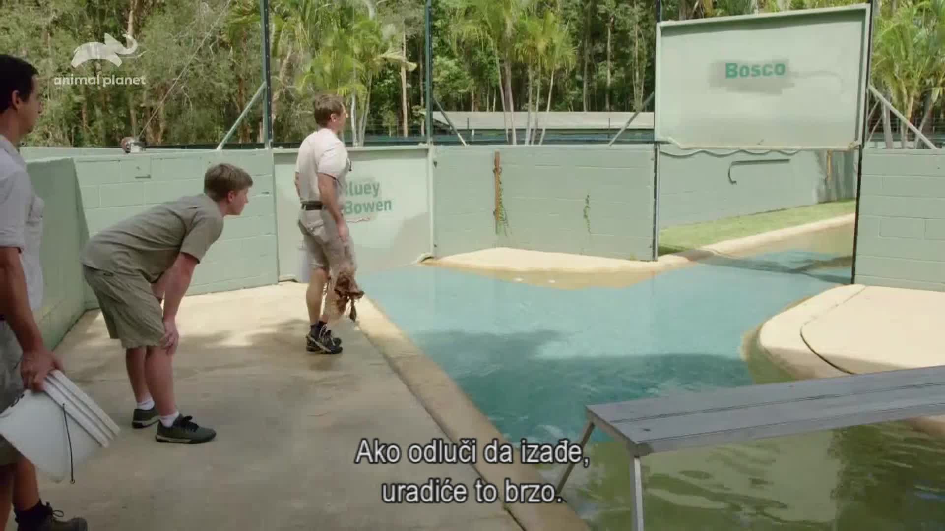 AnimalPlanet
