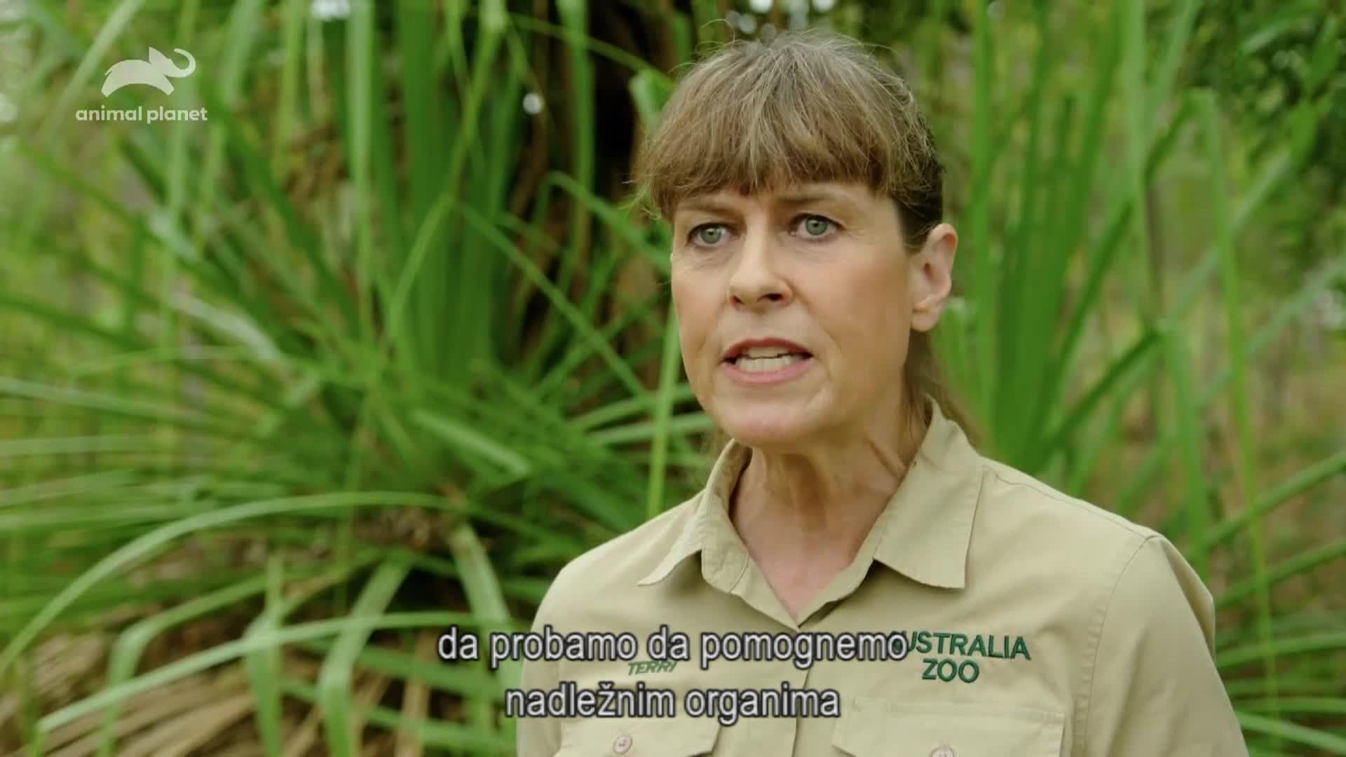 AnimalPlanet